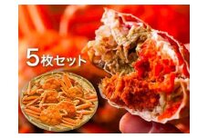 【特選】親がに(せこがに) 5枚セット (浜茹)