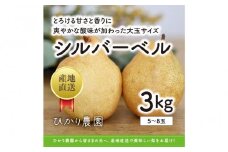 完熟こだわりシルバーベル 3キロ（ひかり農園）