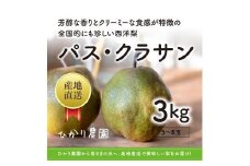 完熟こだわりパス・クラサン 3キロ（ひかり農園）