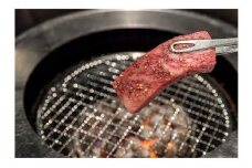 鳥取和牛クラシタ焼肉用 500g
