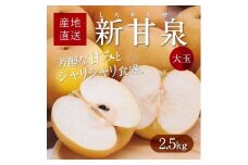 大玉新甘泉 2.5kg箱(5～7玉入)【たにがみ農園】