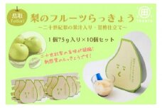 梨のフルーツらっきょう 75g×10個