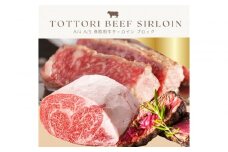 鳥取和牛 サーロインブロック 3kg