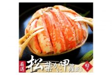 松葉がに 甲羅盛り 5個【11月中旬から入荷次第発送】