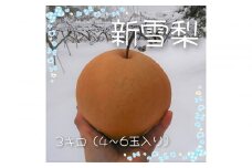 新雪梨 3kg【まえた農園】