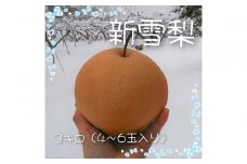 新雪梨 3kg【まえた農園】