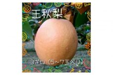 王秋梨 3kg【まえた農園】