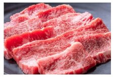 鳥取和牛 カルビ 約500g