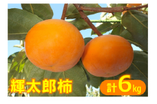 【ご家庭用】輝太郎柿（きたろうかき）6kg 【10月上旬～10月下旬お届け】