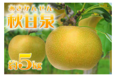 鳥取県産梨「秋甘泉（あきかんせん）」 5kg　先行受付
