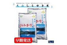 【３～７営業日以内に出荷】令和6年産 大山しらゆき米10kg（精白、コシヒカリ、5kg×2）