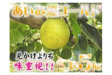 鳥取県産梨「あいみ燦ゴールド」5kg