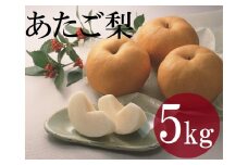 鳥取県産梨「あたご梨」5kg
