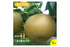 鳥取県産梨「あきづき梨」5kg