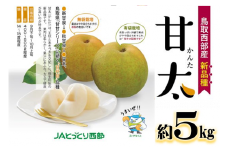 鳥取県産梨「甘太（かんた）梨」5kg