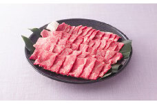 【定期便】ハンバーグ・焼肉食べ比べ　2回コース【髙島屋選定品】