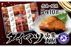 〈山陰大松〉氷温熟成　煮魚・焼魚ギフトセット１０切　米子市魚貝類部門No.1 IN-100