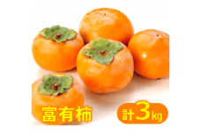 富有柿（ふゆうがき）3kg 【11月上旬から11月下旬お届け】