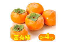 鳥取県産柿「富有柿」ふゆうかき（4kg）