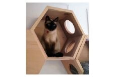 ハニカムカムふたなし　～大工職人が作る猫ちゃんの六角形ﾎﾞｯｸｽ～