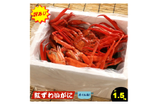 【訳あり 数量限定 期間限定】脚折れ紅ズワイガニセット　合計1.5kg (2024年9月発送～)