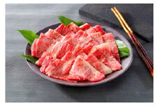 ＜大山物語＞氷温R熟成 鳥取和牛 焼肉用 肩ロース 500ｇ