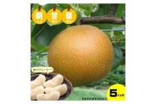 鳥取県産梨「新甘泉（しんかんせん）」5kg