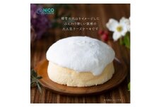 NiCO sweetsニコスイーツ　人気No.1の大山チーズケーキ （直径15㎝）