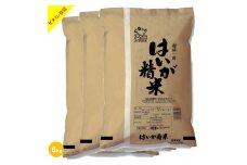 はいが精米　2㎏×2