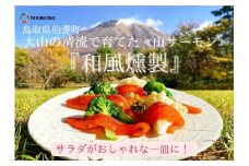ダイヤモンド「大山」サーモン(和風スモーク)400gＥコース 【スライスパック　約50gｘ8袋　計400g】