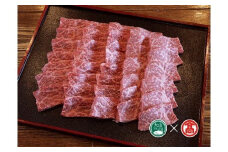 ＜HANAFUSA＞鳥取和牛特選モモ焼肉用（大山ブランド会）