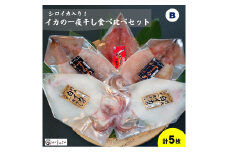 【先行受付】シロイカ入りイカの一夜干し食べくらべセット（Bセット）