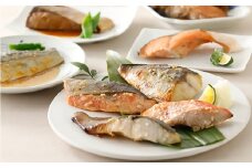 〈山陰大松〉おためしバラエティセット氷温熟成 煮魚・焼魚＆西京漬けセット１６切【高島屋選定品】