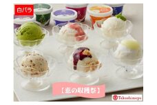 〈大山乳業〉恵の収穫祭（アイスクリーム）１２個【高島屋選定品】