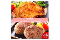 ＜ホクニチ＞氷温熟成　ハンバーグ・豚ロース西京味噌漬け各８個【髙島屋選定品】