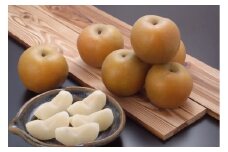 鳥取県産　秋甘泉　５～６個（計約２ｋｇ）【髙島屋選定品】