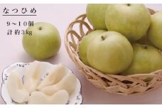鳥取県産　なつひめ　９～１０個（計約３ｋｇ）【髙島屋選定品】