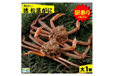 鳥取県産　訳あり（足欠け）活松葉がに（大1枚）