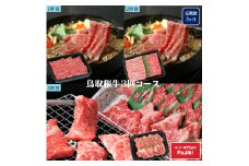 鳥取和牛定期購入（3か月）（定期便・和牛）