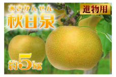【進物用】鳥取県産梨「秋甘泉（あきかんせん）」 5kg　先行受付