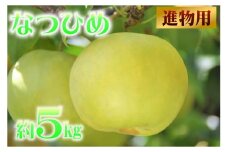 【進物用】鳥取県産梨 「なつひめ」5kg　先行受付