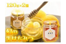 ニホンミツバチ100%の蜂蜜　2本入りギフトセット