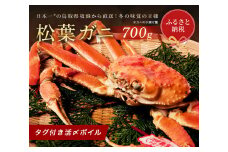 【蟹セレブ】タグ付き活〆ボイル・松葉がに（中・700ｇ前後）