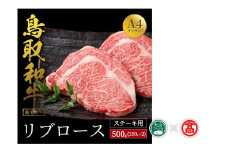 ＜だんだんキッチン＞鳥取和牛　リブロースステーキ用（250g×２枚）（大山ブランド会）