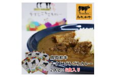 鳥取和牛　牛すじごろごろカレー 200g 6食入り