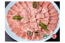 ＜皆生菊乃家＞鳥取和牛　A4ランク以上　サーロイン焼肉用（大山ブランド会）