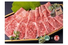 ＜皆生菊乃家＞鳥取和牛　A4ランク以上　サーロインしゃぶしゃぶすき焼き用（大山ブランド会）