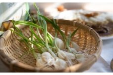 すぷらうとにんにくお試しセット