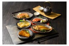 〈山陰大松〉氷温熟成　煮魚・焼魚ギフトセット１０切　ＮＹＧ-10