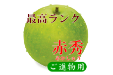 鳥取県産 二十世紀梨 “赤秀” 5kg （10〜14玉/5L～3Lサイズ）